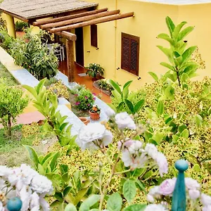 https://il-veliero-blu-bb-lipari-centro.sicilyhotelsitaly.net